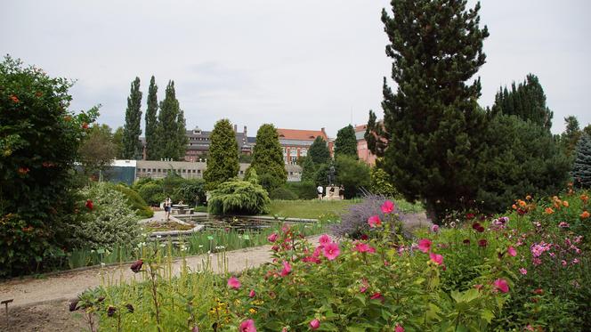 To jeden z najpiękniejszych ogrodów botanicznych w Polsce. Znajduje się na Dolnym Śląsku 