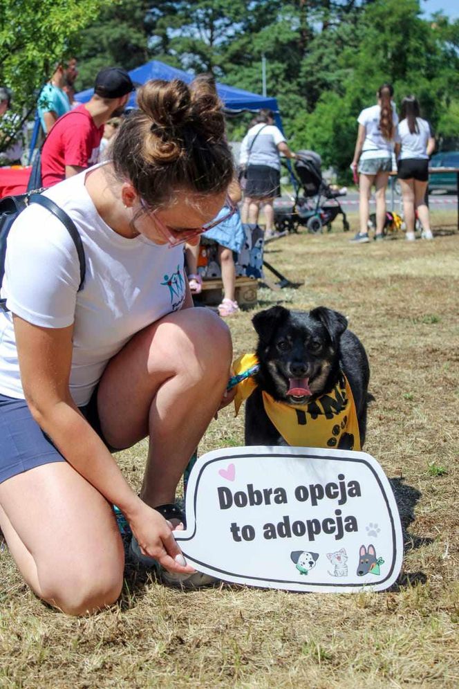 Tak bywało na poprzednich wydarzeniach Fundacji Dobre Ludki w Grudziądzu