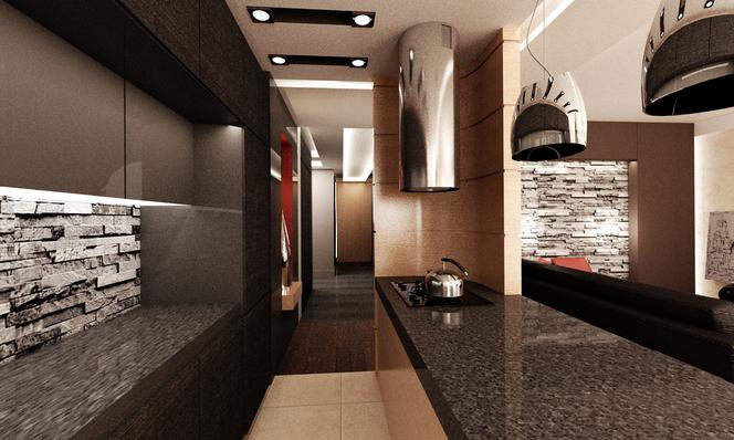 Luksusowy apartament zdjecie nr 7