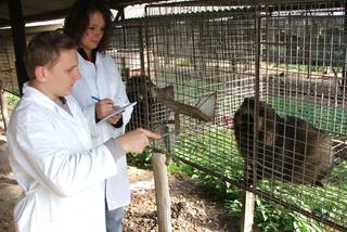 Odnawialne źródła energii, a może bioinżynieria zwierząt? Studiuj w Krakowie! W czerwcu ruszyła rekrutacja na Uniwersytet Rolniczy.