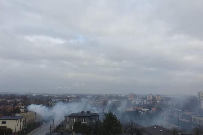 Smog Mysłowice