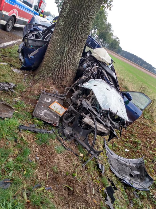 Kuźnica Bobrowska: 20-latka ZJECHAŁA z drogi i uderzyła w drzewo! Z auta nic nie zostało [ZDJĘCIA] 