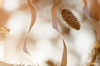 Boże Narodzenie na Mazowszu. O tym nie zapomnij, ubierając choinkę! Zapewnią ci zdrowie, siłę i urodę! 