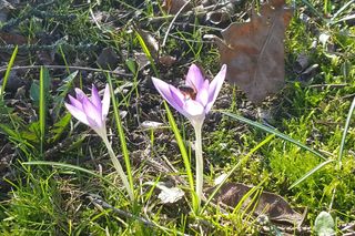 Pogoda na weekend w Szczecinie 3-5 kwietnia 2026. Temperatura wyraźnie wzrośnie, w niedzielę do 19 stopni