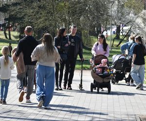 Miasto Piła