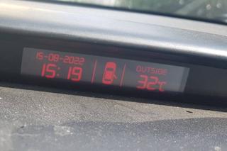 Reda: Potworna męczarnia kota w rozgrzanym aucie. Cierpiał wiele godzin. Policjanci wybili szybę pałką