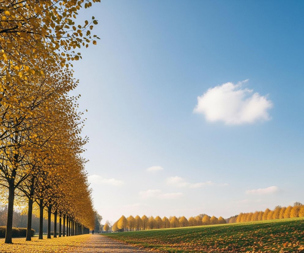 Pogoda na Wszystkich Świętych. Co zaskoczy Polaków 1 listopada?