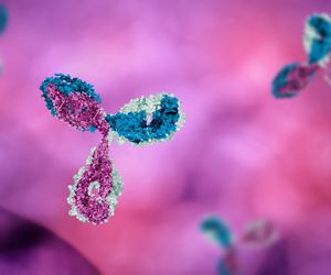 Immunoglobulina typu D (IgD)