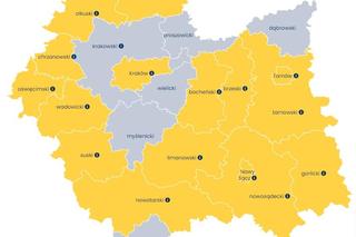 Barometr zawodów 2024. Małopolska: cieśle i stolarze budowlani