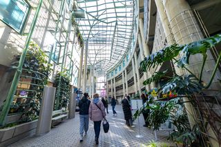 Biblioteka Uniwersytetu Warszawskiego