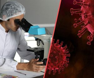 Niebezpieczny wirus atakuje ludzi w Afryce. Nie żyje już ponad 40 osób 