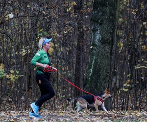 Sobotni parkrun w Katowicach przyciągnął tłumy. W tym biegu nigdy nie będziesz ostatni! GALERIA