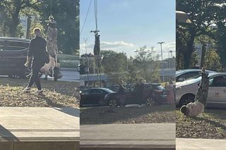 Łódzki Houdini zawisł nad al. Włókniarzy! To tajemniczy projekt iluzjonisty Piotra Sudera. Te emocje nadal ze mnie schodzą