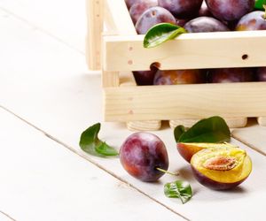 Olej z pestek śliwki - wlaściwości i zastosowanie w kosmetyce