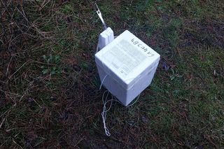 Tajemnicze znalezisko na drzewie w Zduńskiej Woli