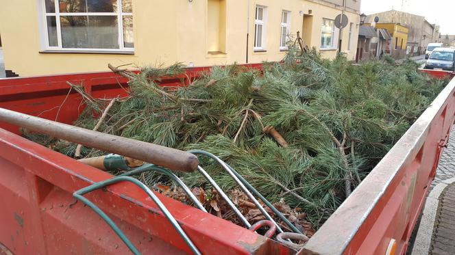 Za nieco ponad miesiąc wiosna! Na skwerach w Lesznie zaczęły się już pozimowe porządki