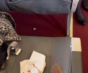 Justyna Steczkowska - samolotowy incydent 