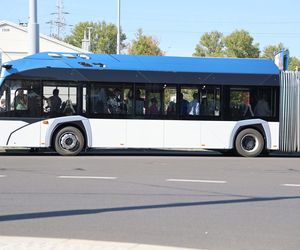 Animacje, najdłuższy autobus w kraju i inne atrakcje. Tak wyglądał Dzień bez Samochodu w Lublinie