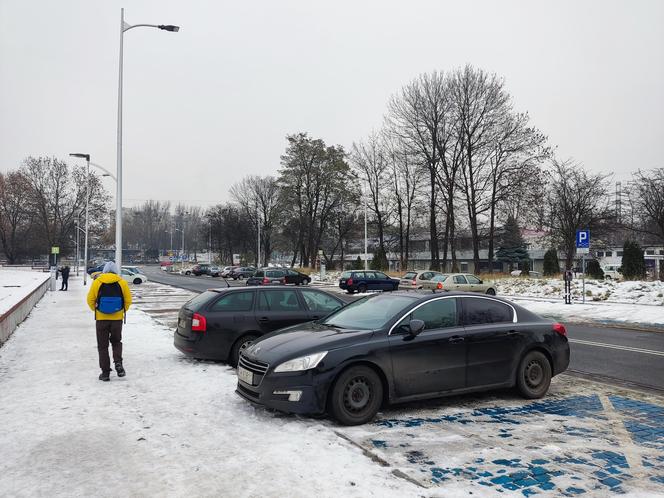 Parkowanie w Katowicach: Studenci UE nie zawalają już parkingów