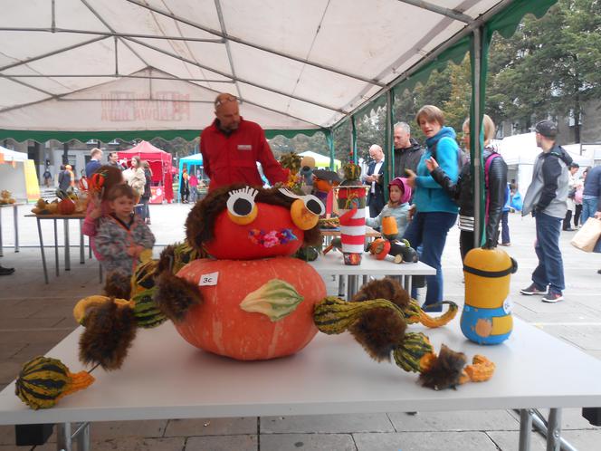 Żółte, pomarańczowe i zielone - za nami V festiwal "Zaklęte w dyni".