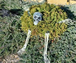 U Łukasza z Pawłowa hasło cukierek albo psikus nabiera innego wymiaru. Najbardziej halloweenowy dom świętokrzyskiego