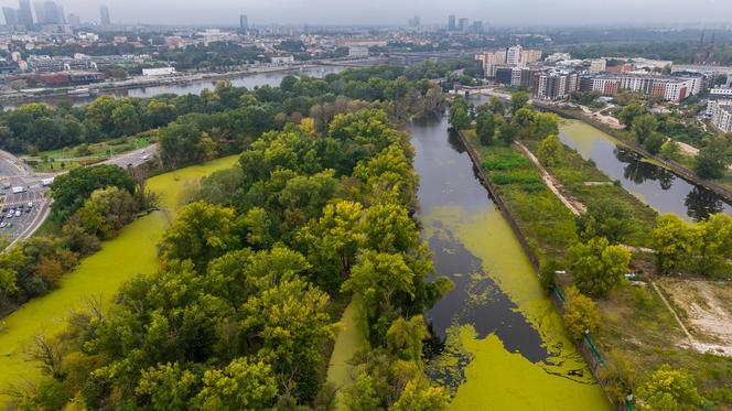 Port Praski - widok z drona, wrzesień 2024