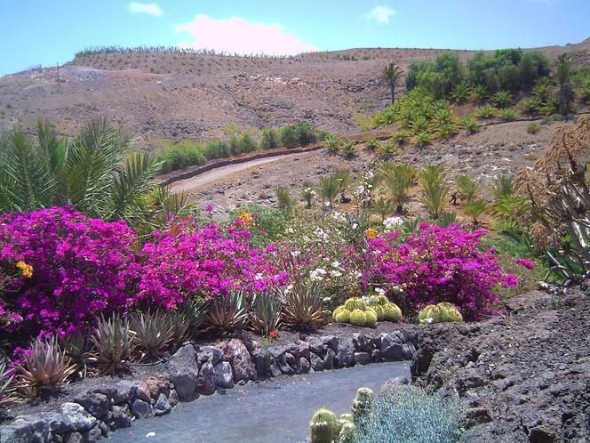 Fuerteventura