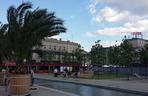 Palmy w Katowicach