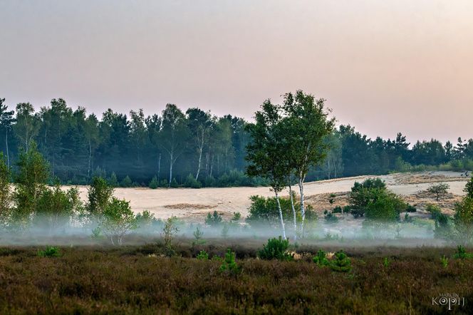 Bory Dolnośląskie