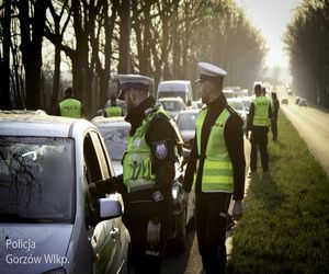 Cztery osoby wsiadły za kierownicę na rauszu. Czeka je kara