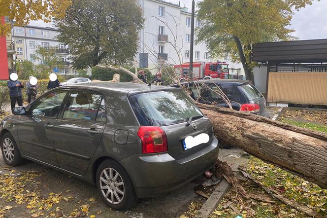 Wichury w Toruniu. Żywioł wywracał drzewa i nie tylko