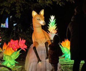 Garden of Lights we Wrocławiu