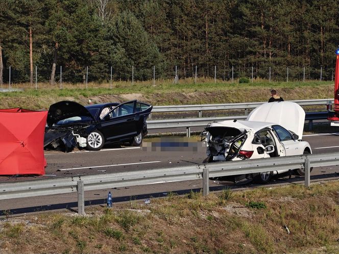 Jeżowe. Śmiertelny wypadek na S-19. Nie żyją kobieta i mężczyzna ze skody [ZDJĘCIA]