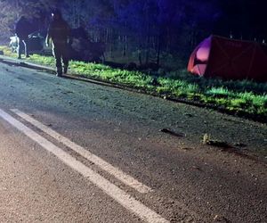 Tragiczny wypadek pod Ostrowią Mazowiecką. Audi huknęło w przepust, z auta wypadli dwaj mężczyźni