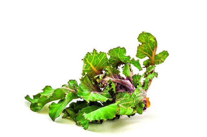 Kalerosse - nowe warzywo: skrzyżowanie jarmużu z brukselką