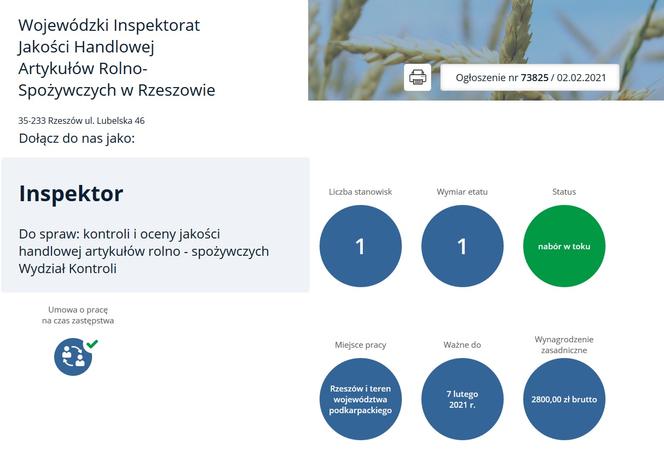 Praca w urzędach w Rzeszowie. Aktualne oferty pracy. Gdzie szukają pracowników? Ile można zarobić? [LISTA]