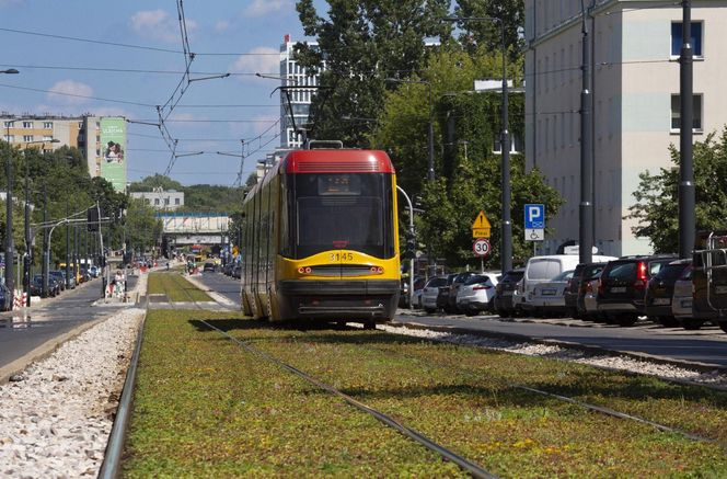 Zielone torowiska