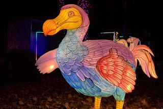 Ogród Świateł. Dzika Ameryka w ZOO Wrocław