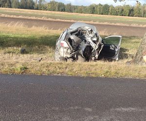 Tragedia na drodze. Opel wbił się w drzewo, kobieta zmarła w szpitalu