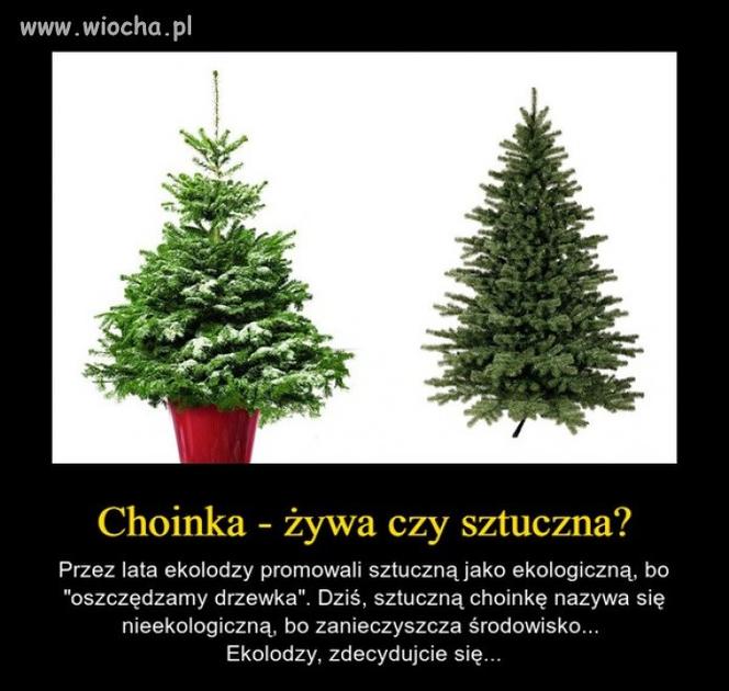Choinka memy