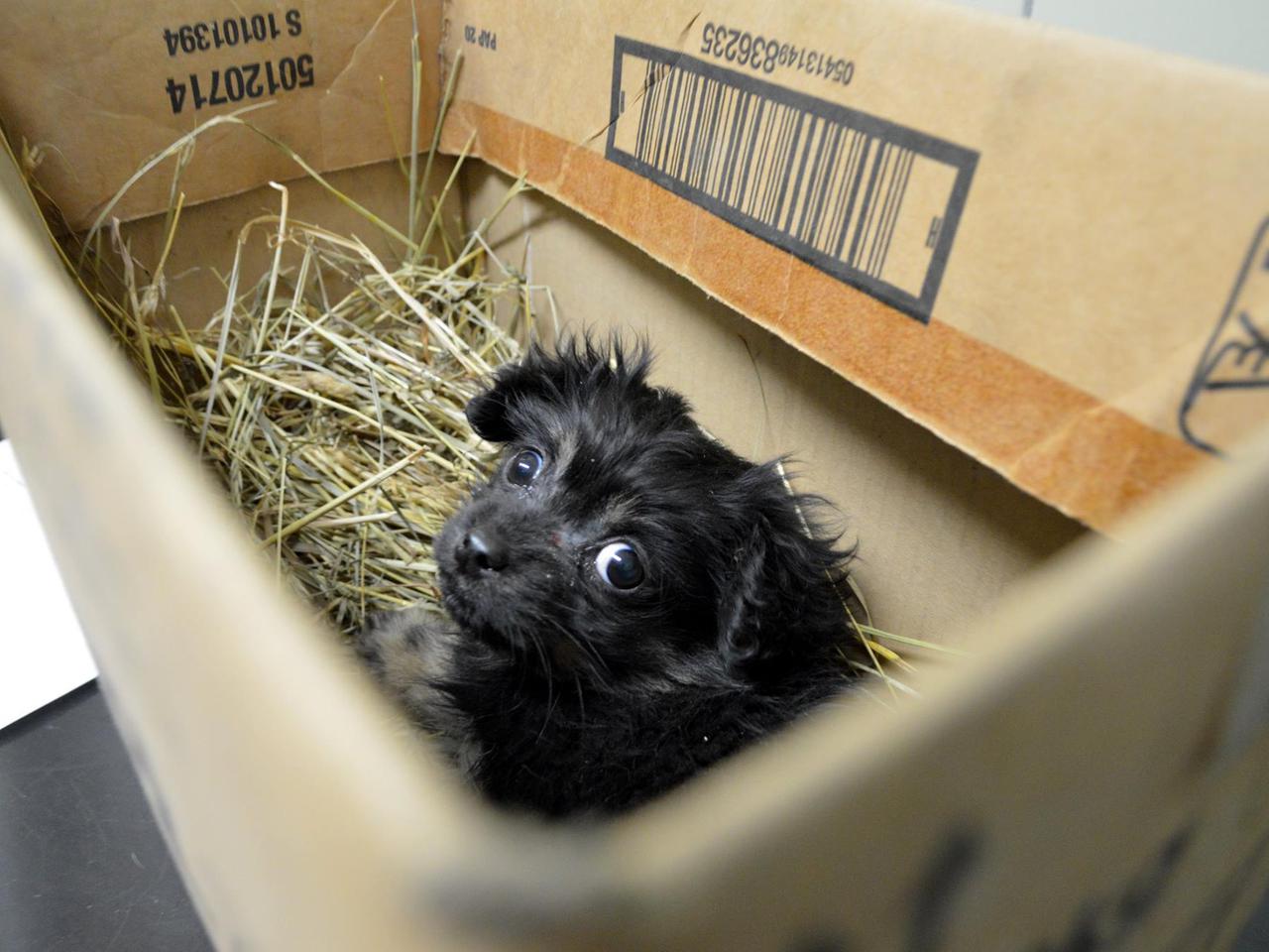 Wyrzucili ją, bo ma zeza