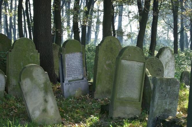 Nowy cmentarz żydowski w Brzesku