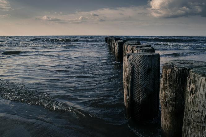 Stan wód w Zatoce Gdańskiej ponownie pozwala na morskie kapiele