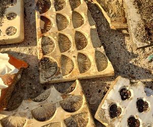 Pozostałości po Fabryce Czekolady Venus w Warszawie