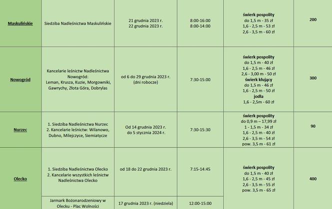 Tanie choinki w Białymstoku. Ciekawa propozycja leśników [CENNIK]