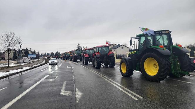 Rolniczy protest przeciwko inportowi z boża z Ukrainy i restrykcjom Europejskiego Zielonego Ładu 