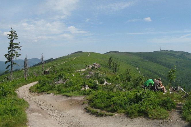 Oto najpiękniejsze szlaki turystyczne w Beskidzie Śląskim