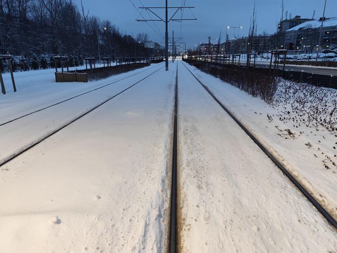 Śnieżna noc za nami. Czy zima zaskoczyła mieszkańców Poznania? 