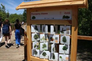 Kładka spacerowa w Żyrardowie