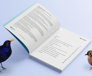 Kompendium „Kolizje ptaków z transparentnymi powierzchniami” do pobrania za darmo!
